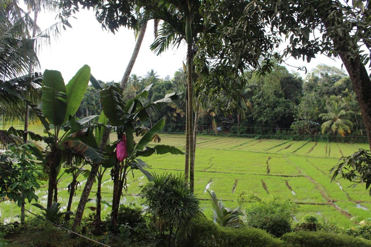 Paddy Field Villa Midigama Exterior photo