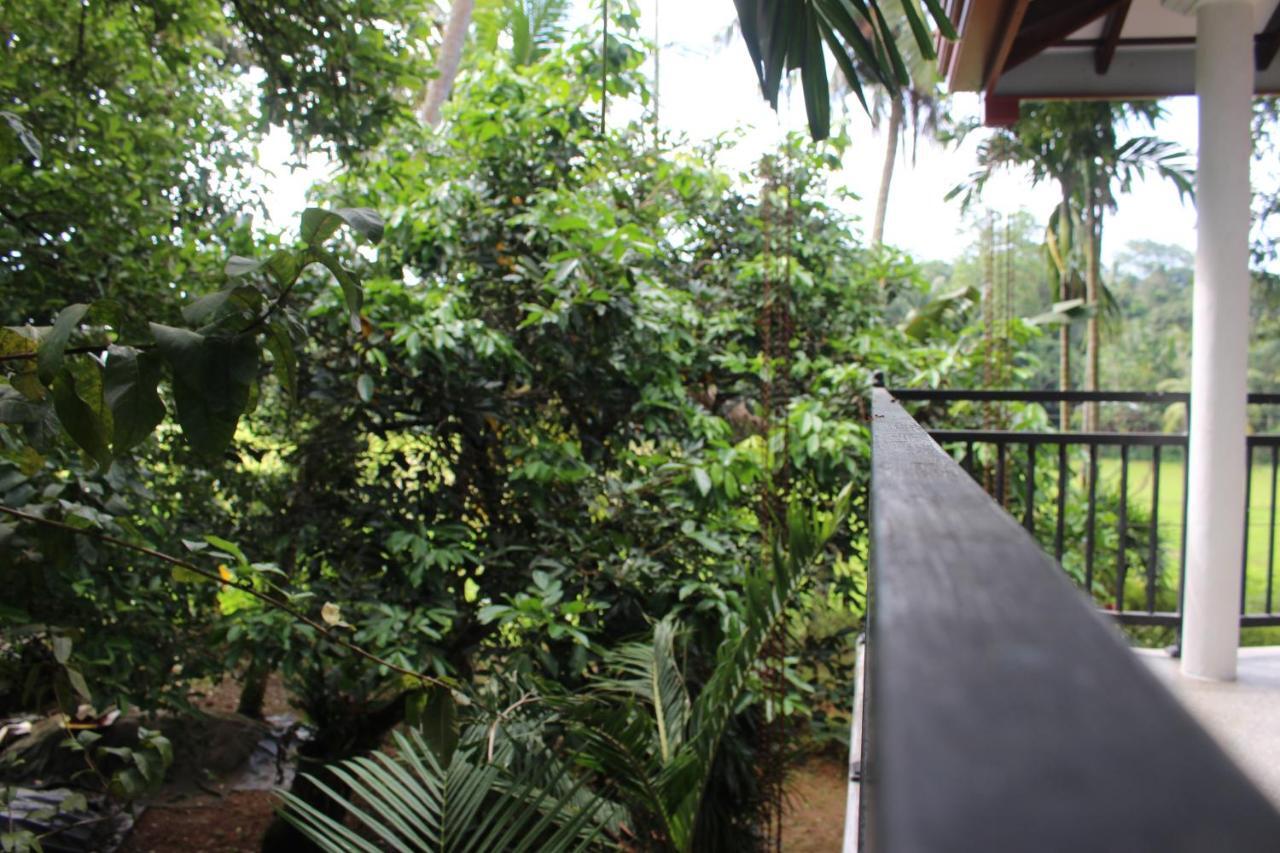 Paddy Field Villa Midigama Exterior photo